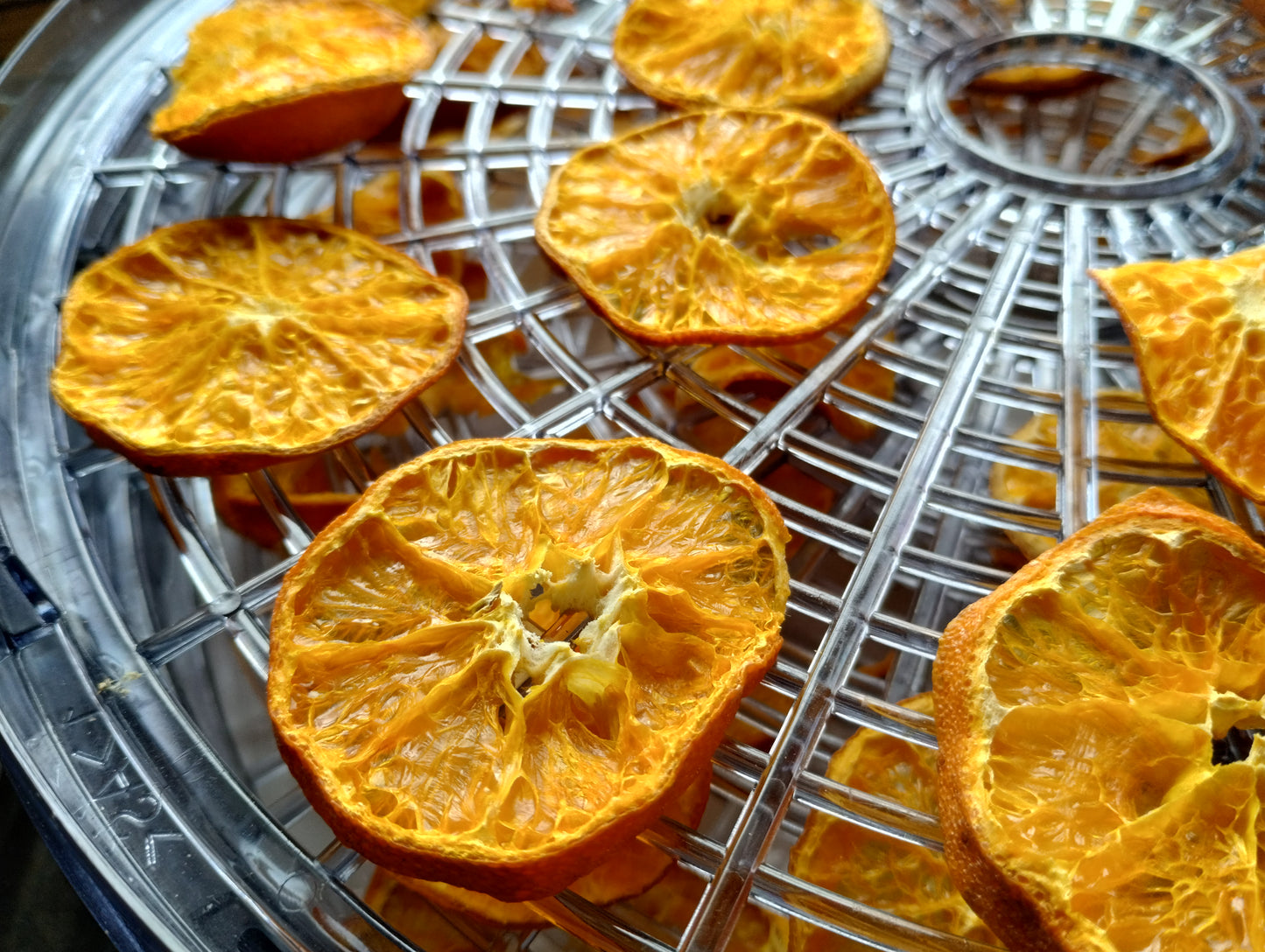 Orange Slices
