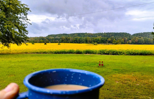 Steps to start a Victory Garden!