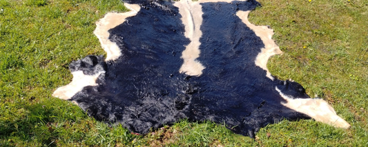 Cow Hide (40"x40")