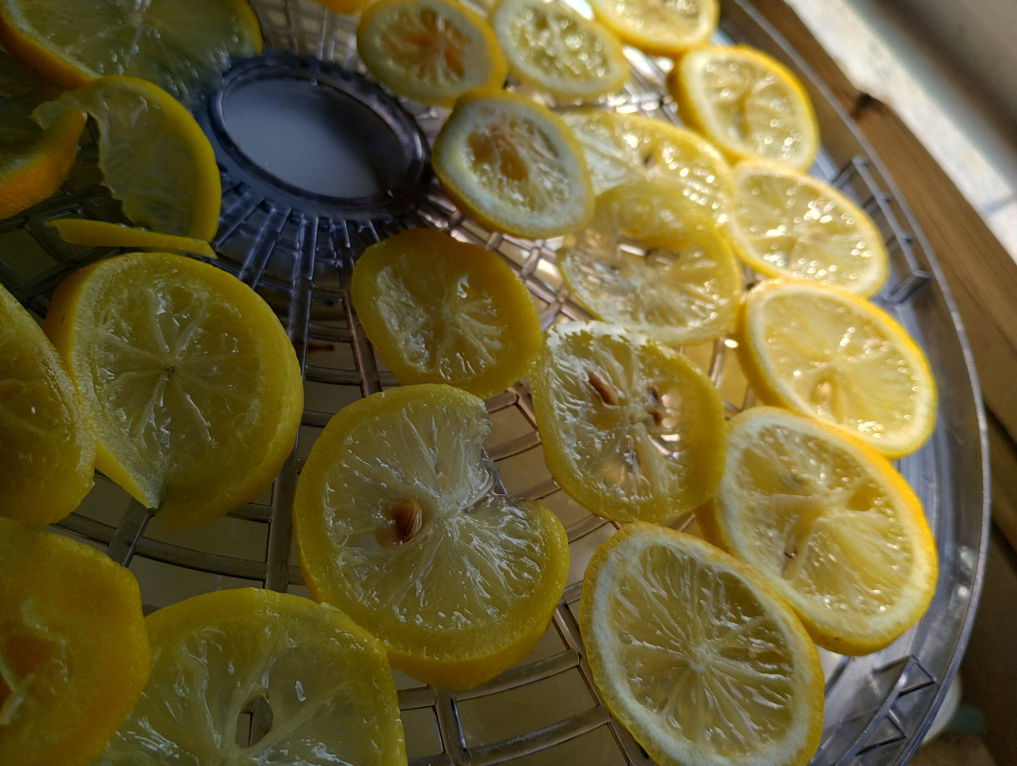 Lemon Slices