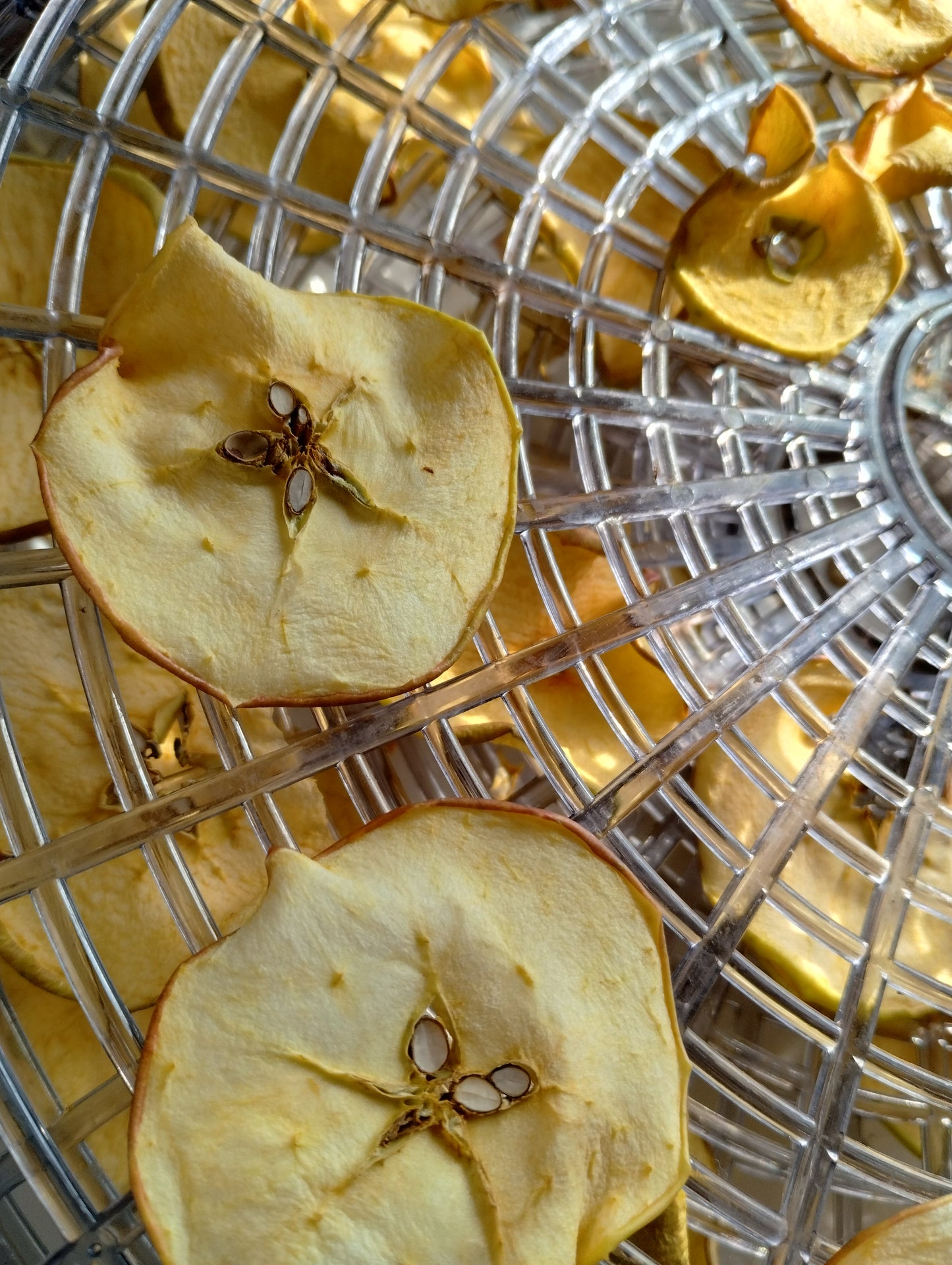 Dehydrated Apples
